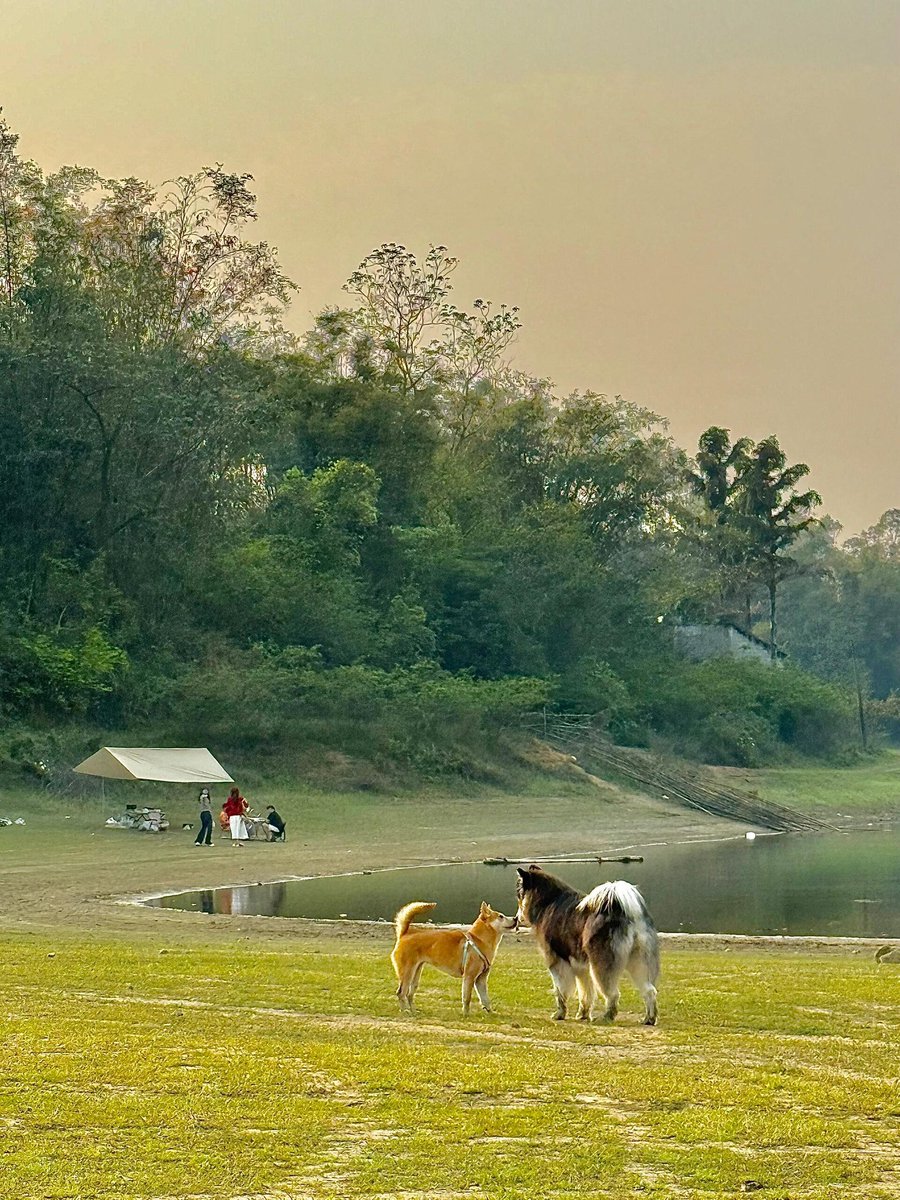 x-flower🌹 tweet media