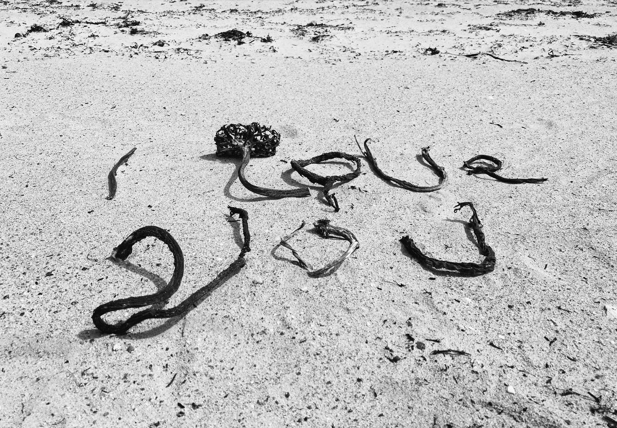 Lovethisland_'s tweet image. Berneray. East beach.

“Who knows where the time goes…”

#hebrides #outerhebrides #Scotland