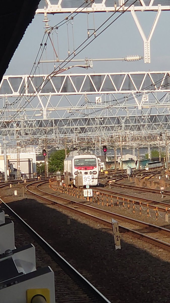 今日も今日とて、金町駅