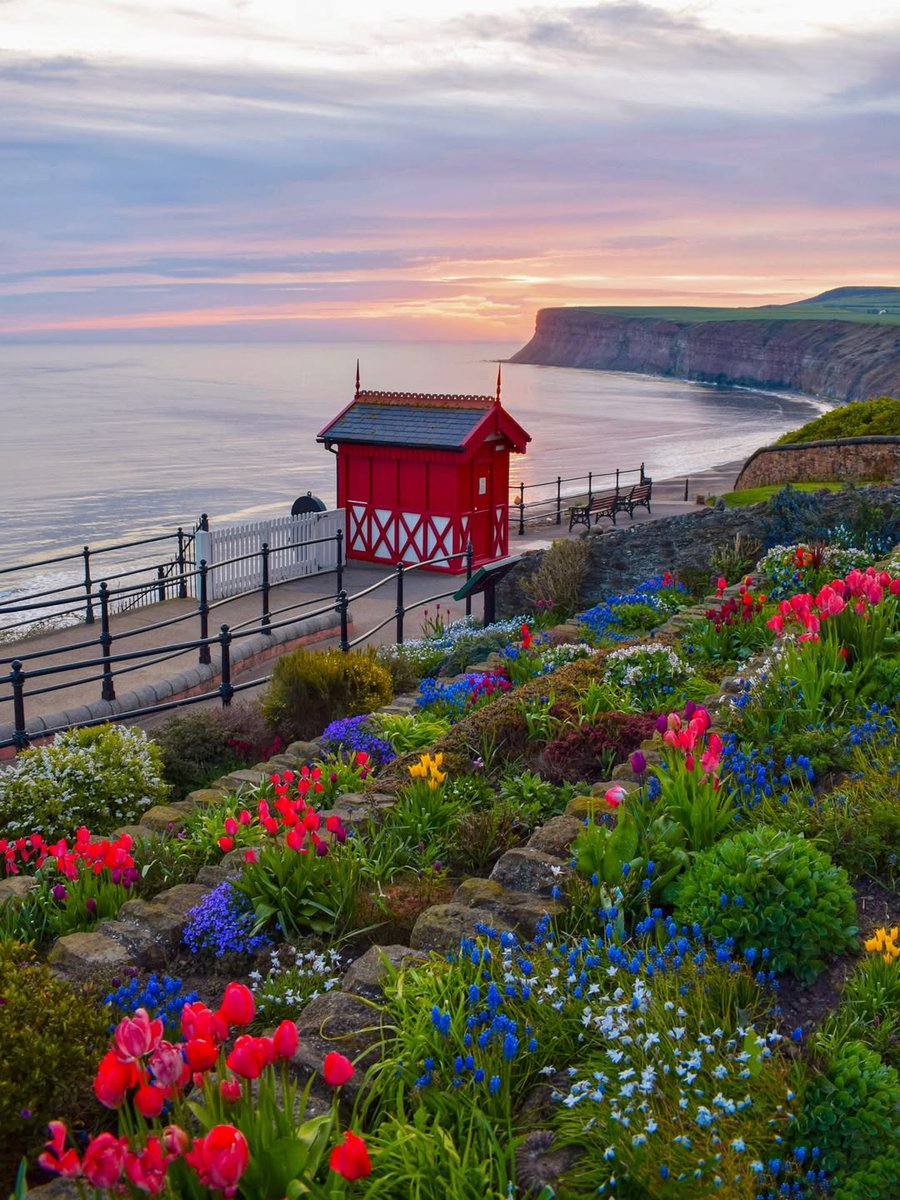 North Yorkshire tweet media