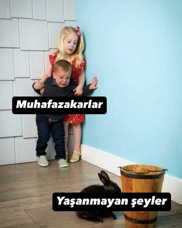 Sıradan Çinko karbon tweet media