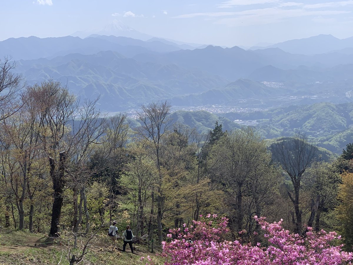 Allein Adler（アライン アドラー） tweet media