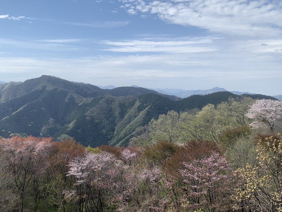 Allein Adler（アライン アドラー） tweet media