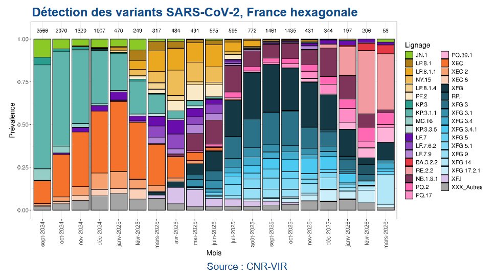 nicolasberrod's tweet image. 🦠 Le paysage des variants du SARS-CoV-2 n'en finit pas d'évoluer (sans surprise).

#Omicron RE.2.2, descendant de BA.3.2 qui circule de plus en plus dans le monde, est désormais le plus souvent détecté en France (les barres roses sur ce graphique). #Covid19 

1/2