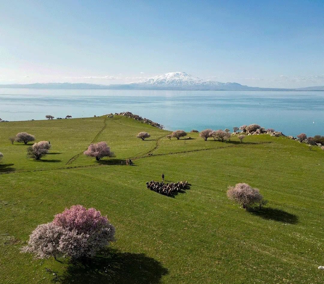 novaworld tweet media