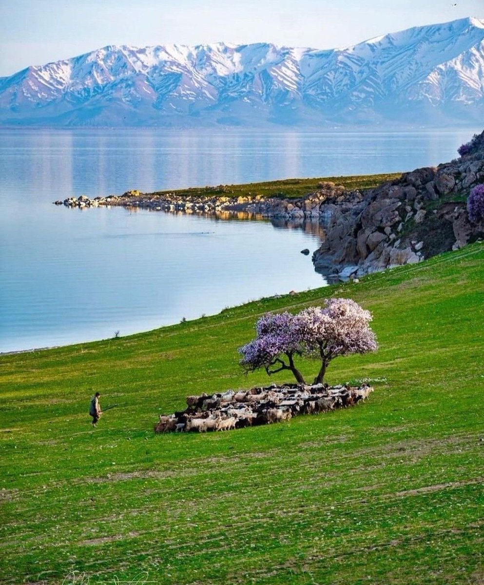 novaworld tweet media