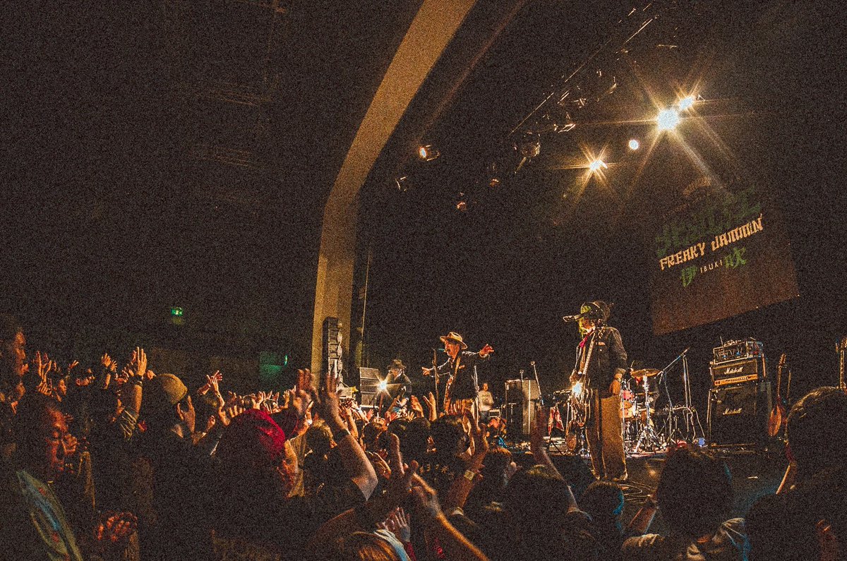 SKA FREAKS -スカフリークス- tweet media