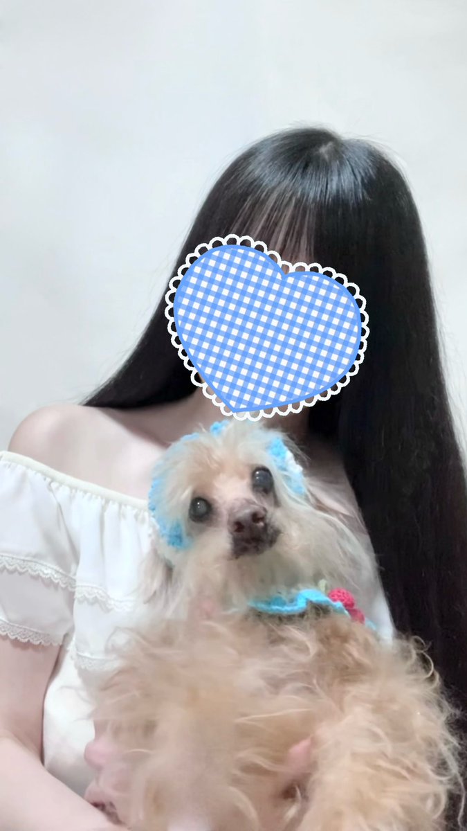 ᴹᴱᴵ੯•໒꒱୨୧ tweet media