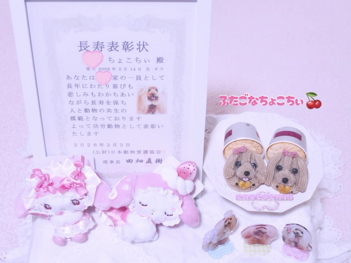 ᴹᴱᴵ੯•໒꒱୨୧ tweet media