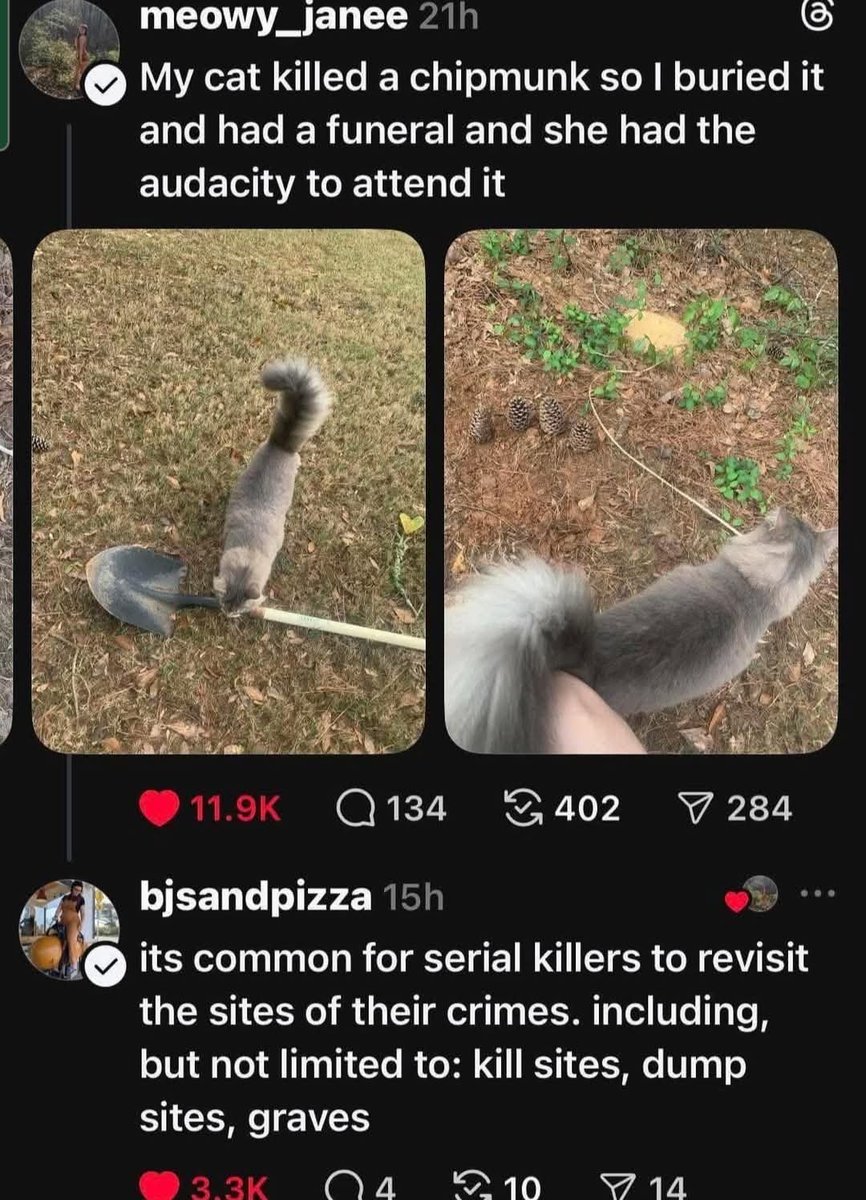 Snotz Casebere tweet media