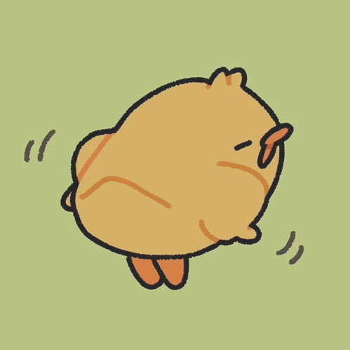 おかっちゃ｜まめぴよ🐥 tweet media