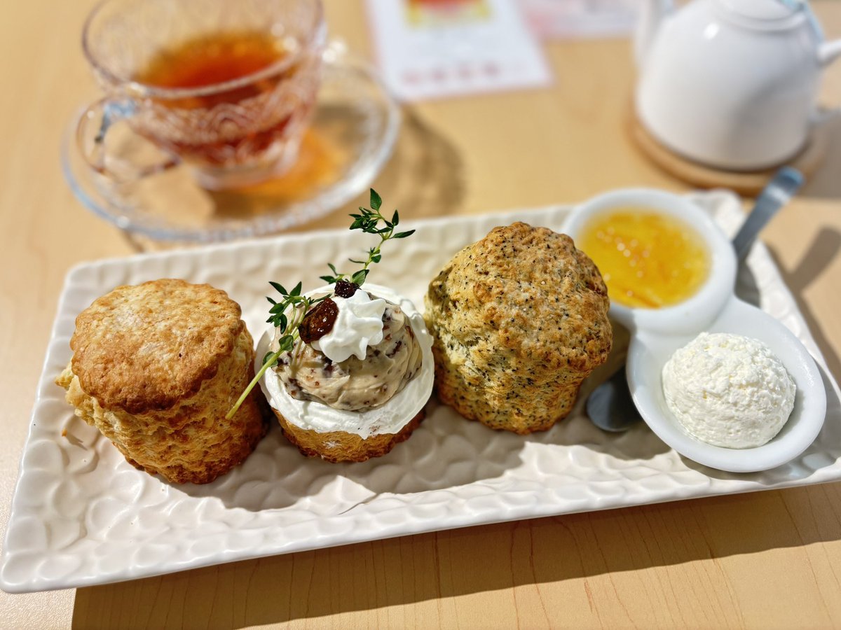 みあちちちち³ 𐔌՞･·･՞𐦯 tweet media