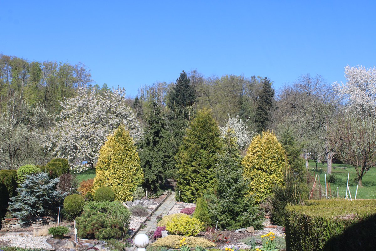 Josef Musil tweet media