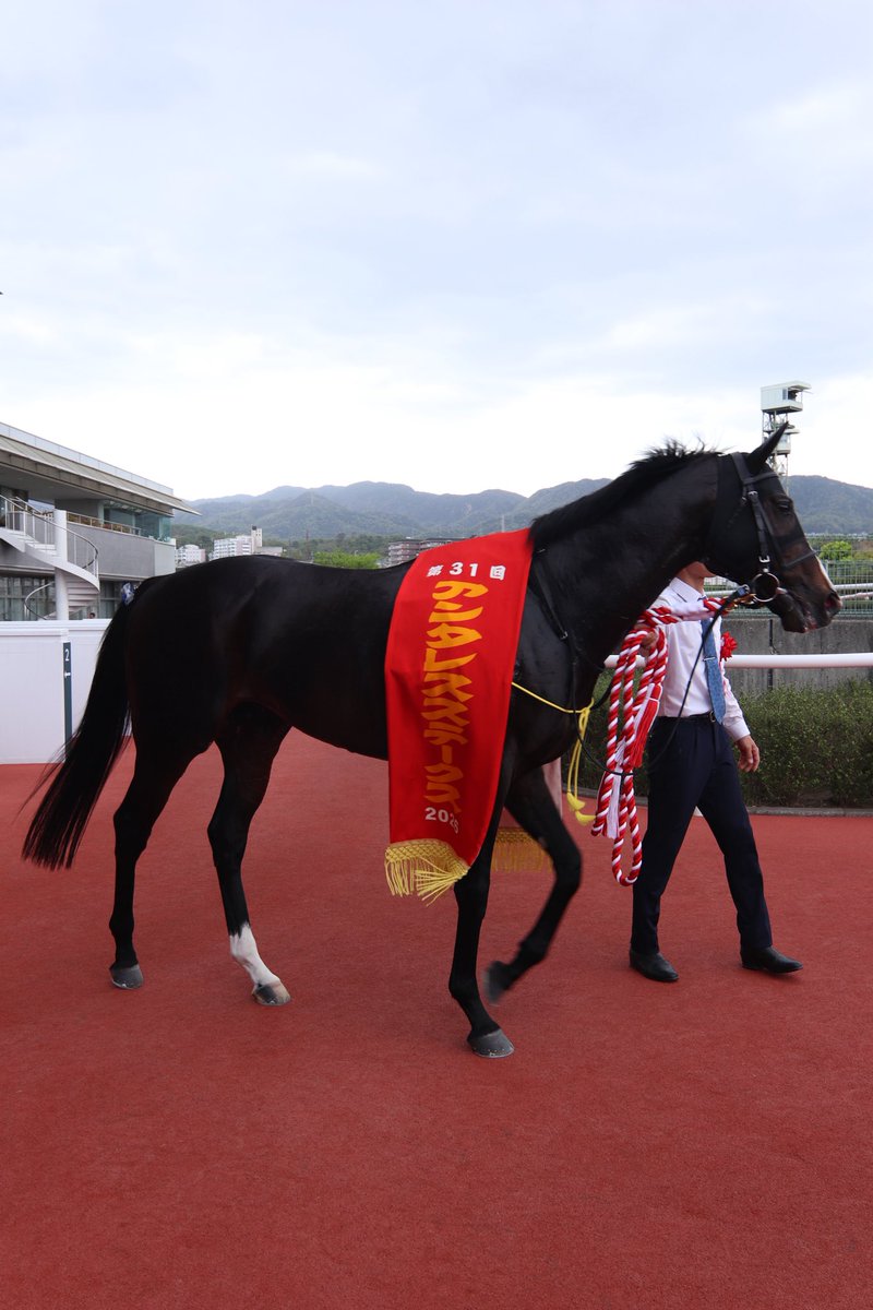 阪神競馬場【公式】 (@HanshinKeibaJo) / Posts / X