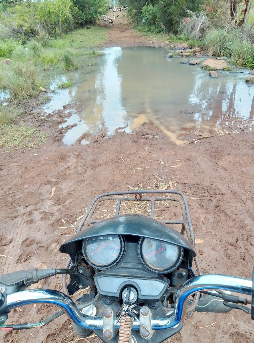 Sky Auto🚥™️ tweet media