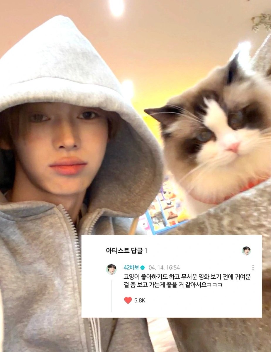 딤미첼 tweet media