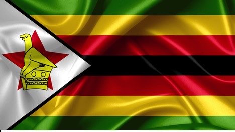 KIKI🇿🇼 tweet media