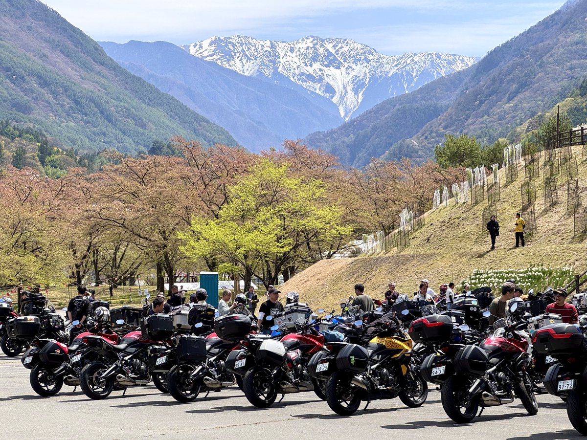 つばき🇬🇧SSTR2026参加🐯 tweet media