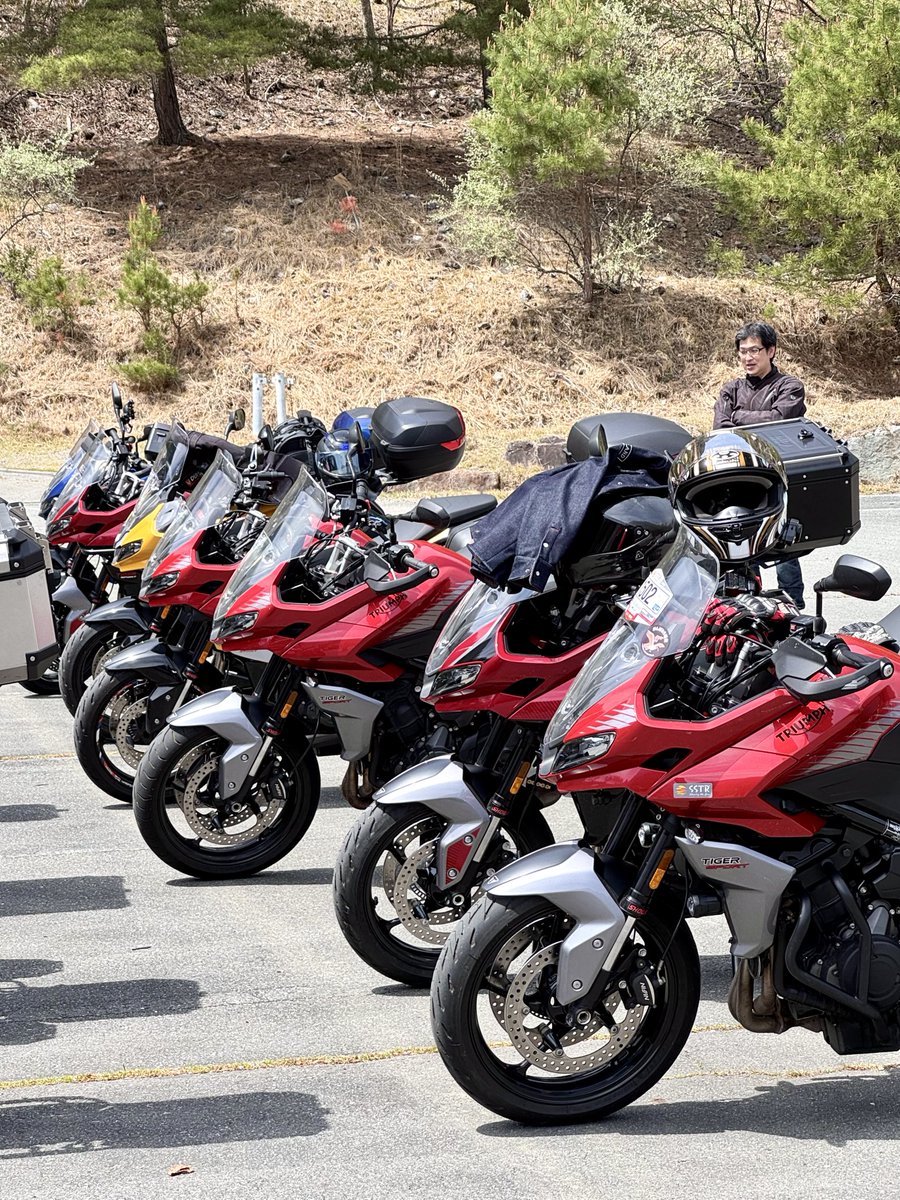 つばき🇬🇧SSTR2026参加🐯 tweet media