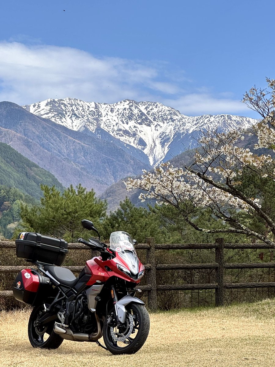 つばき🇬🇧SSTR2026参加🐯 tweet media