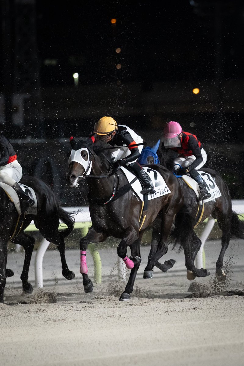 リッキーフェイスさんのメンコが
西さん騎手服デザインだった

2026.4.17
大井競馬場 12R
臼田坂賞競争
リッキーフェイス
ダノンレジェンド産駒
西優哉騎手