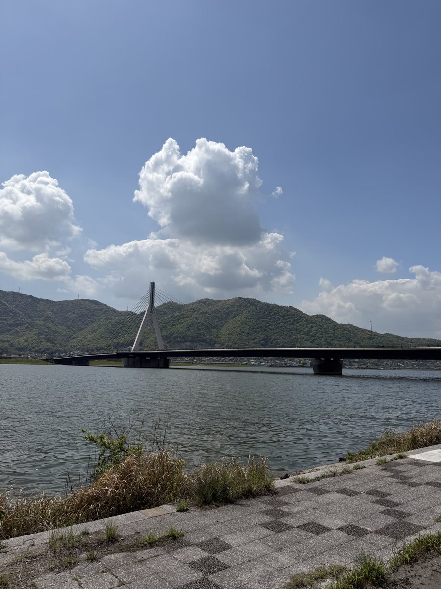 小島よしお tweet media