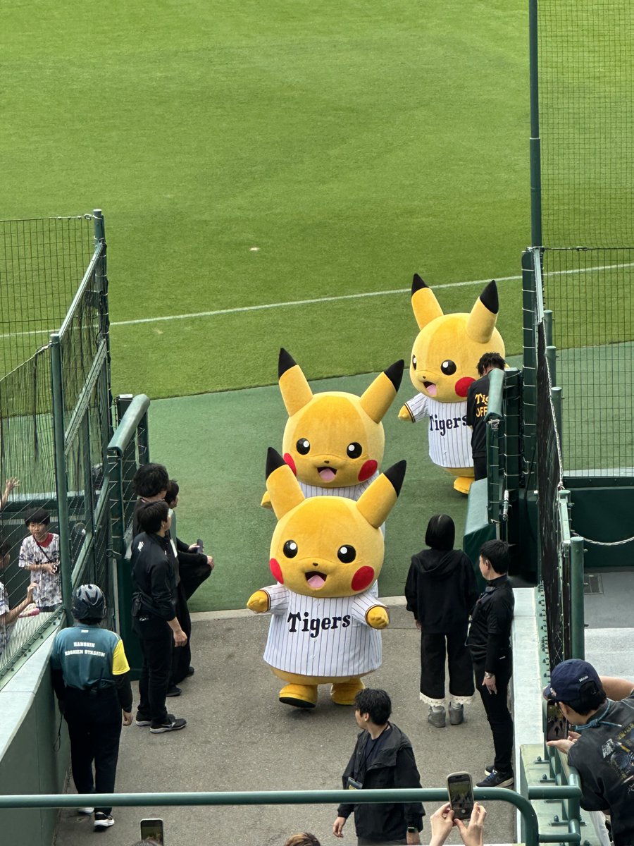 りんりん(ё) tweet media