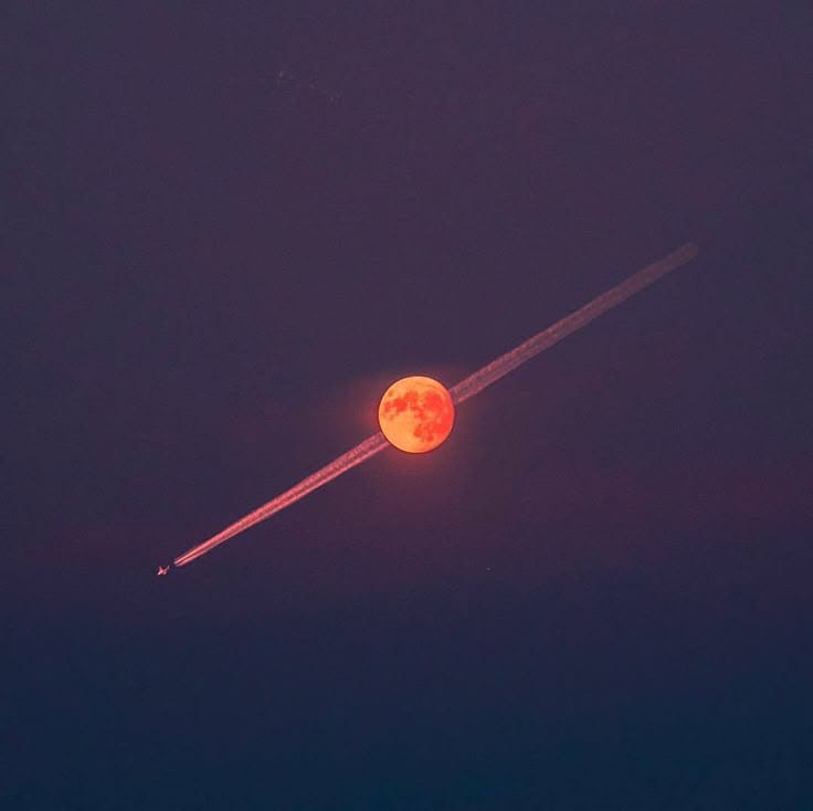 Moon tweet media