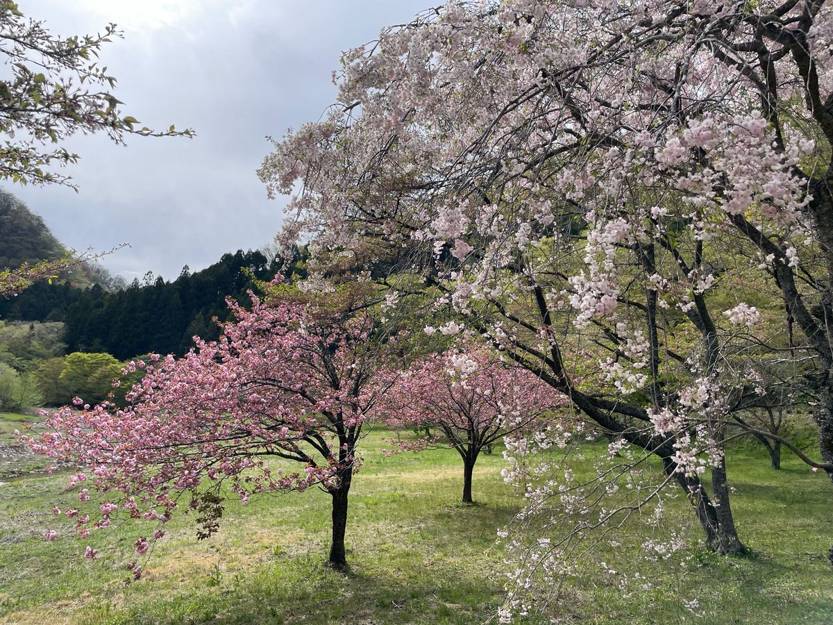 cwt (だいたい連ツイ) tweet media