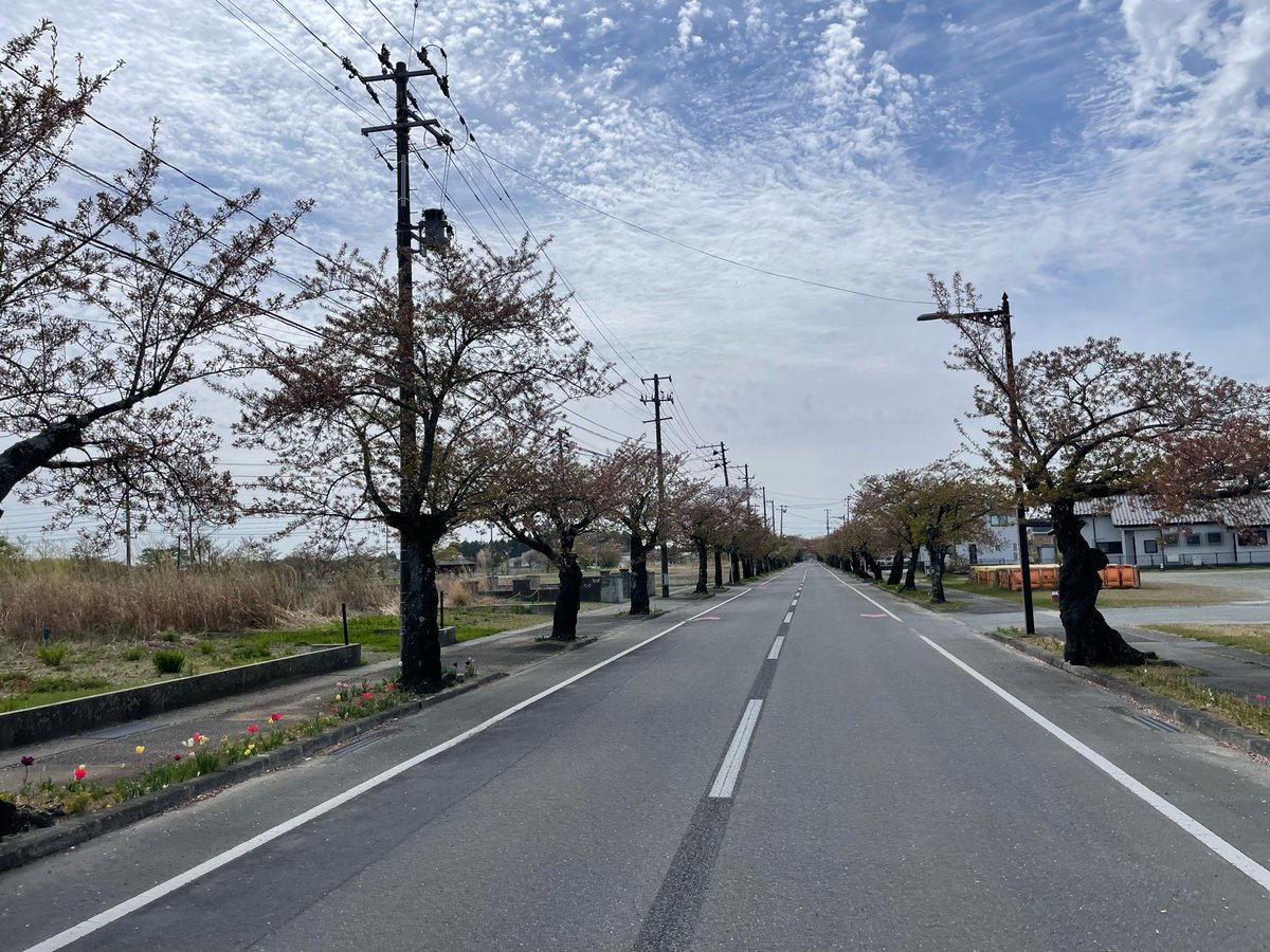 cwt (だいたい連ツイ) tweet media