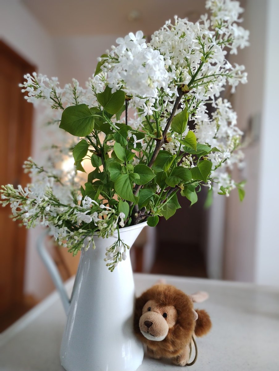 きゅう(Kyu)🫧 tweet media