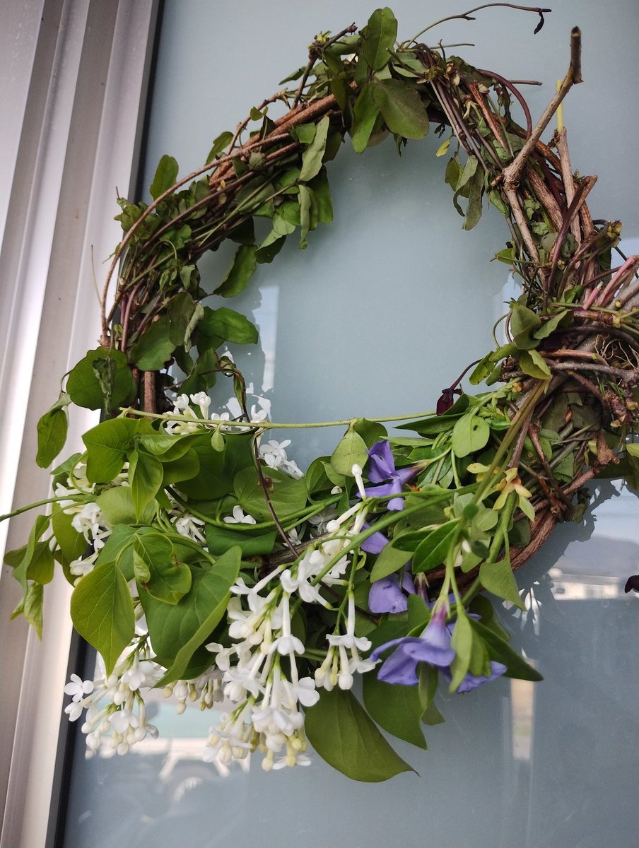 きゅう(Kyu)🫧 tweet media