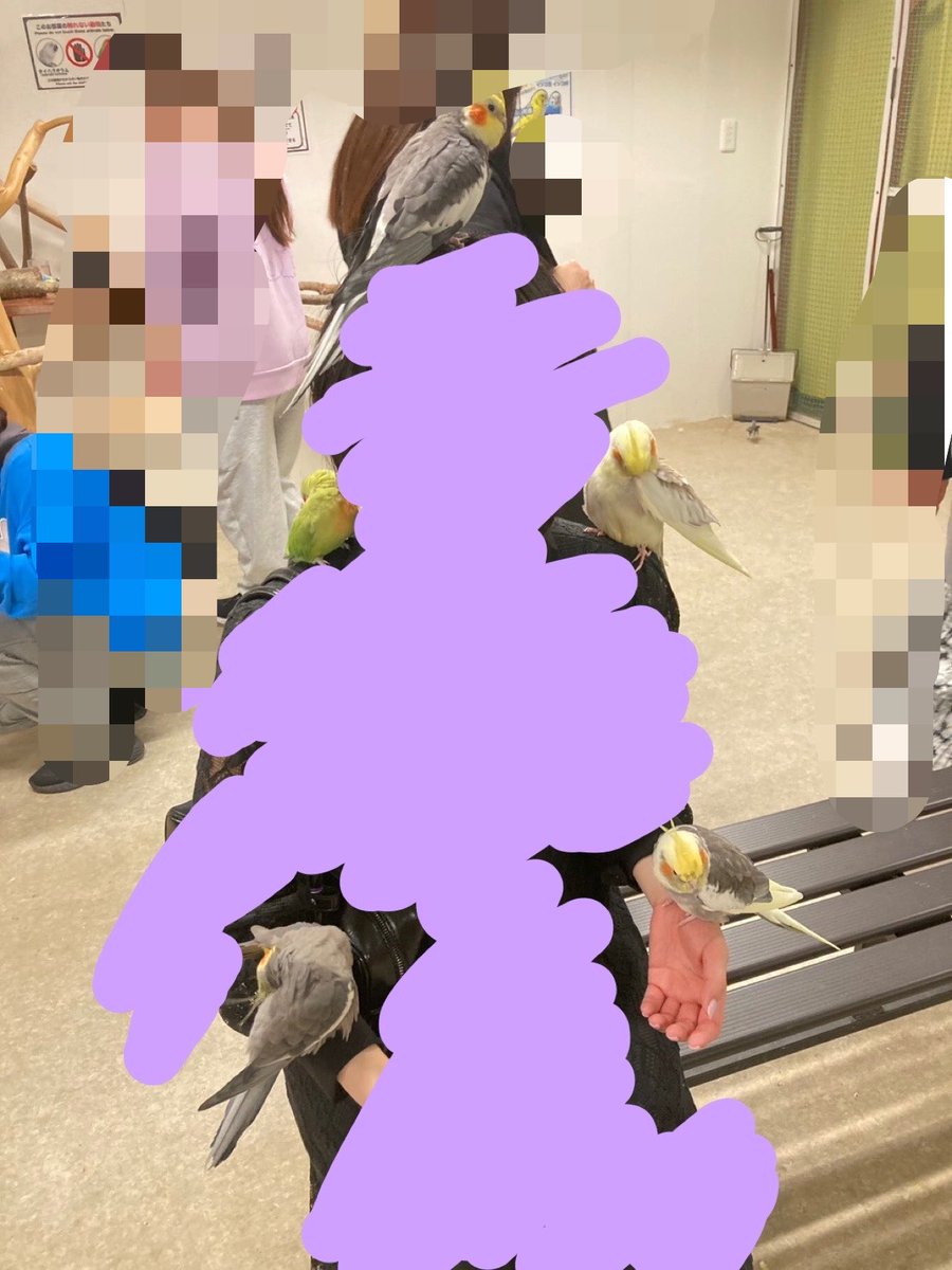 あめちか tweet media