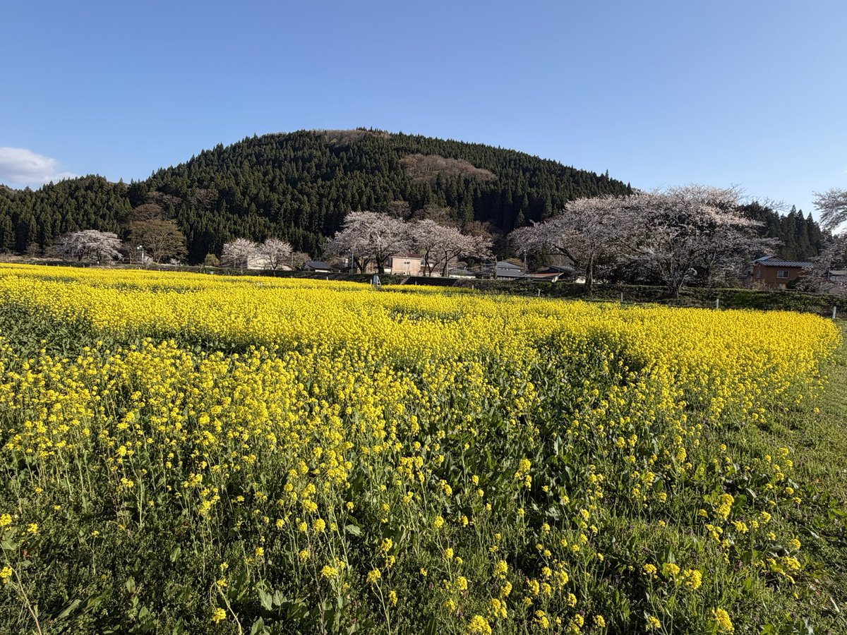 ひらの＠保険募集人の集客の悩みを営業戦略でサポートする人 tweet media