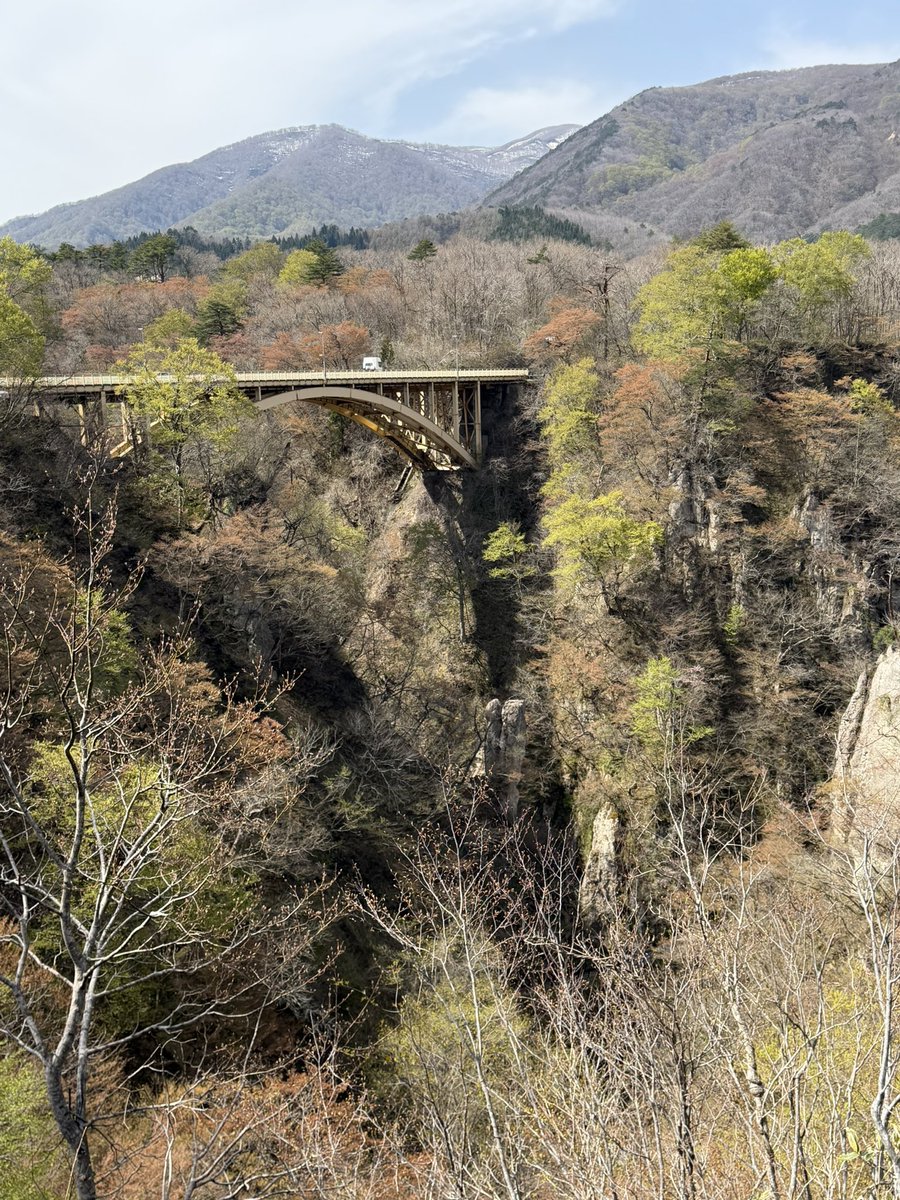 ひらの＠保険募集人の集客の悩みを営業戦略でサポートする人 tweet media