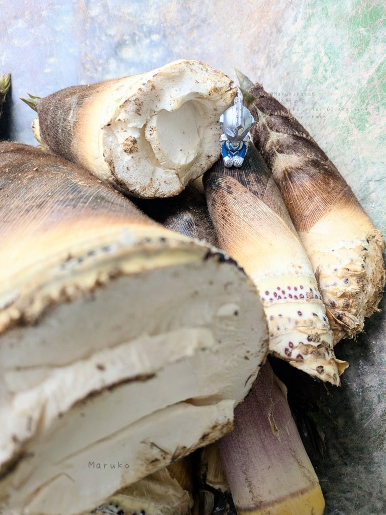 「 • • • • • • 」