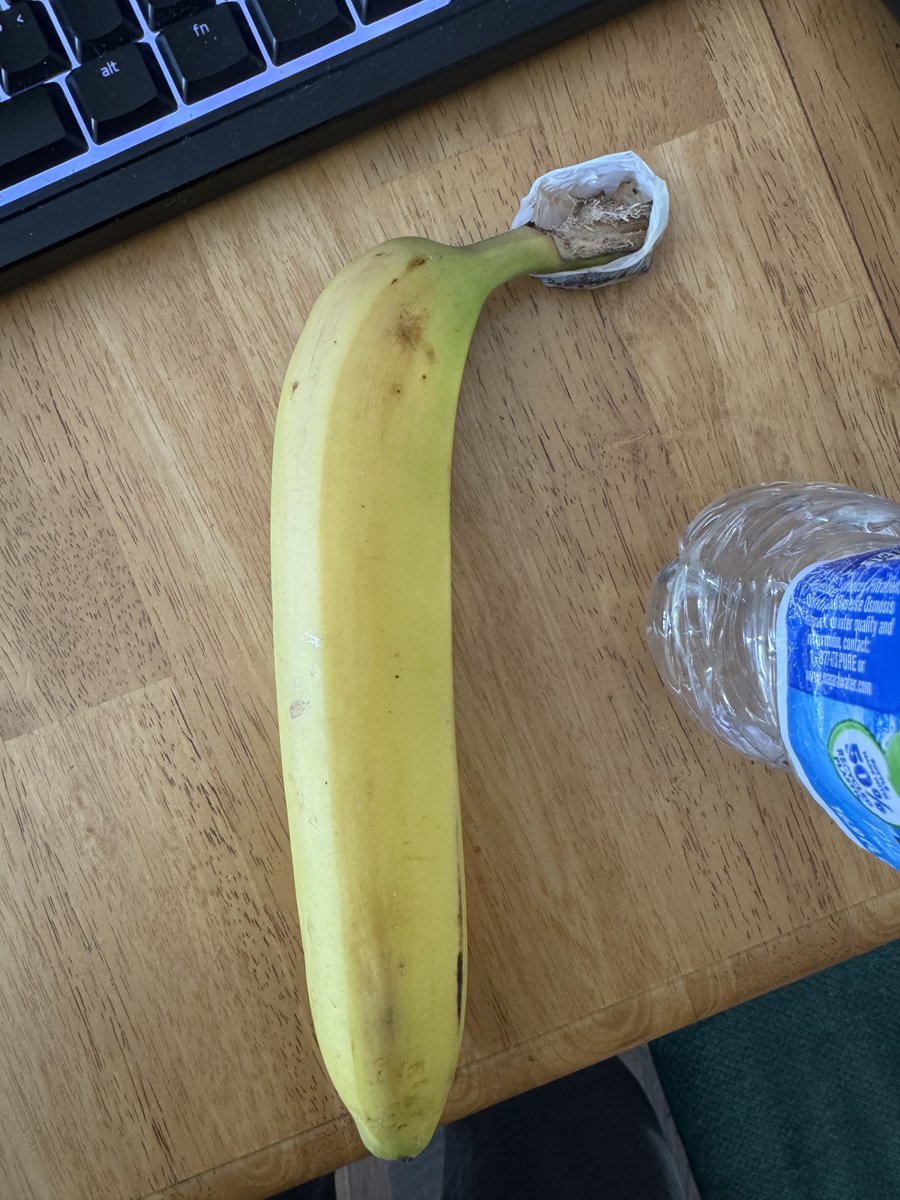 VitalProcessing tweet media