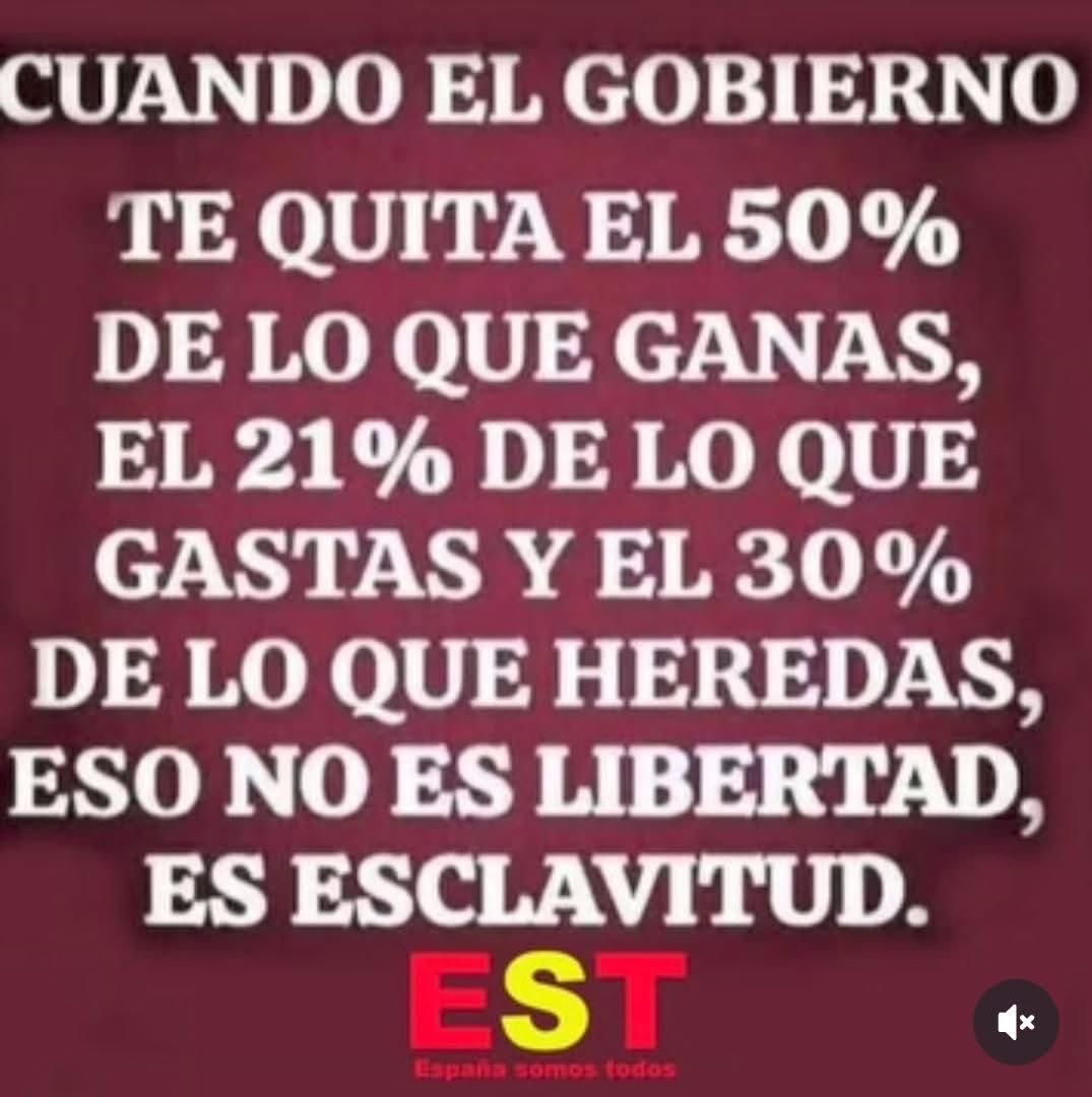 Zolxoníssimo tweet media