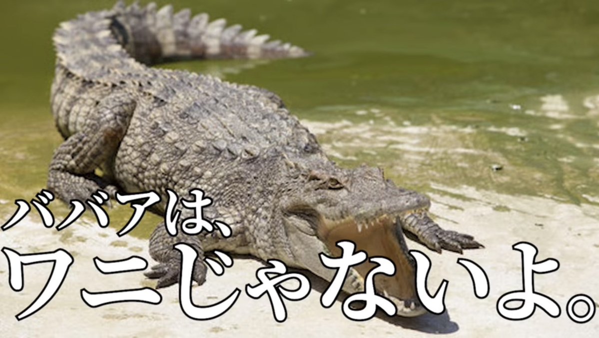 腐乱したい。 tweet media