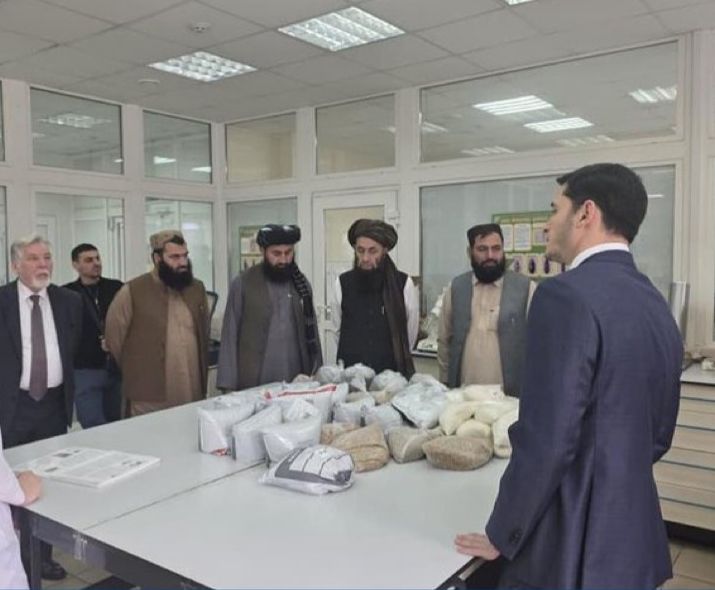 محمدشعیب tweet media