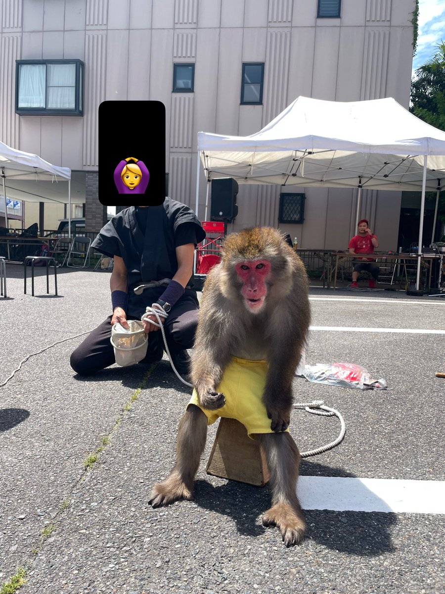 いぬ山たぬ子☺︎❁𖥧🦔2歳児と0歳児なう tweet media