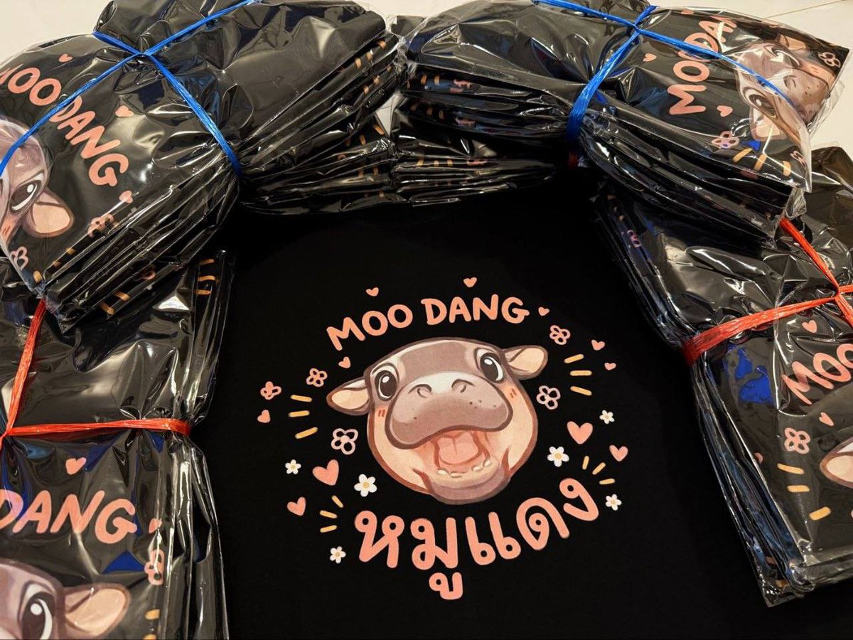 Ordered new shirts for $MooDang, will be giving this away at the zoo

Bag working IRL. 

Higher.
