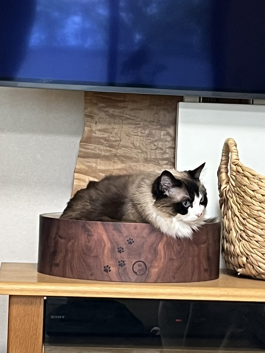 るる＆らら tweet media