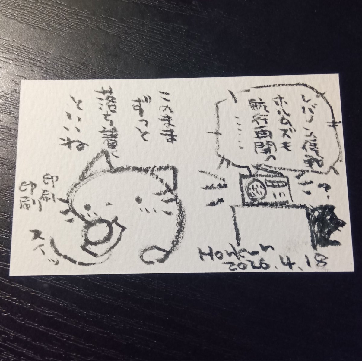 Honkun_ホンクンのネコ_カッパル tweet media