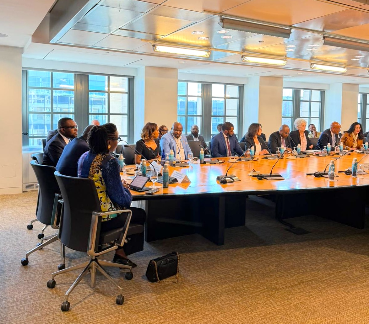 Damilola Ogunbiyi tweet media