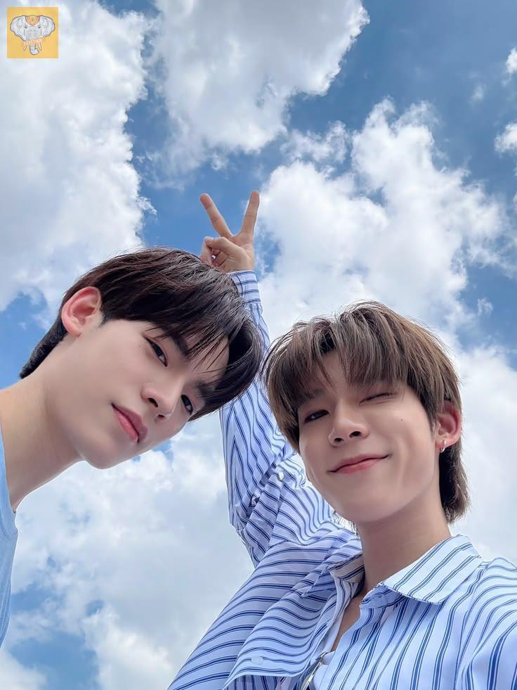 fessthai | เฟสไทย tweet media