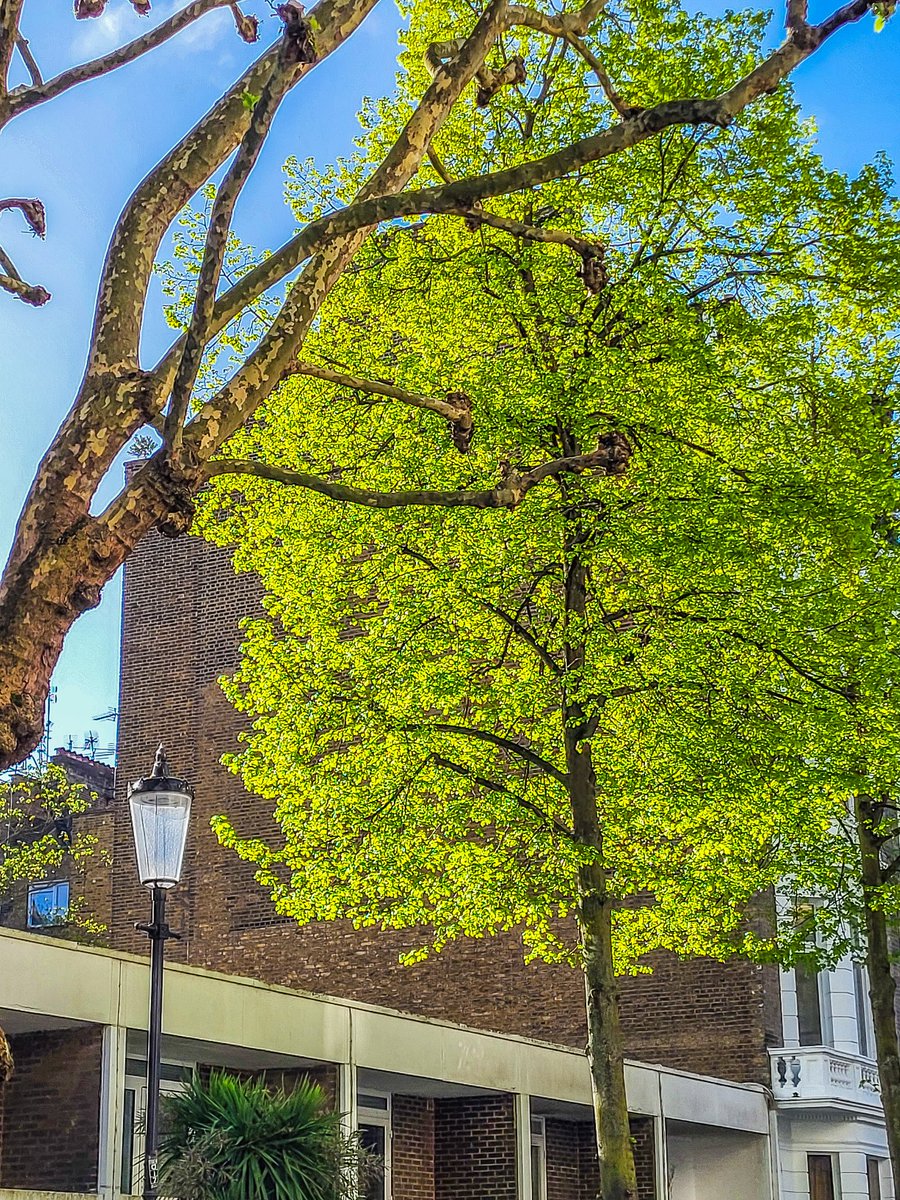 AdamYamey's tweet image. Brighten your #life by #reading fascinating #books by Adam Yamey adamyamey.co.uk