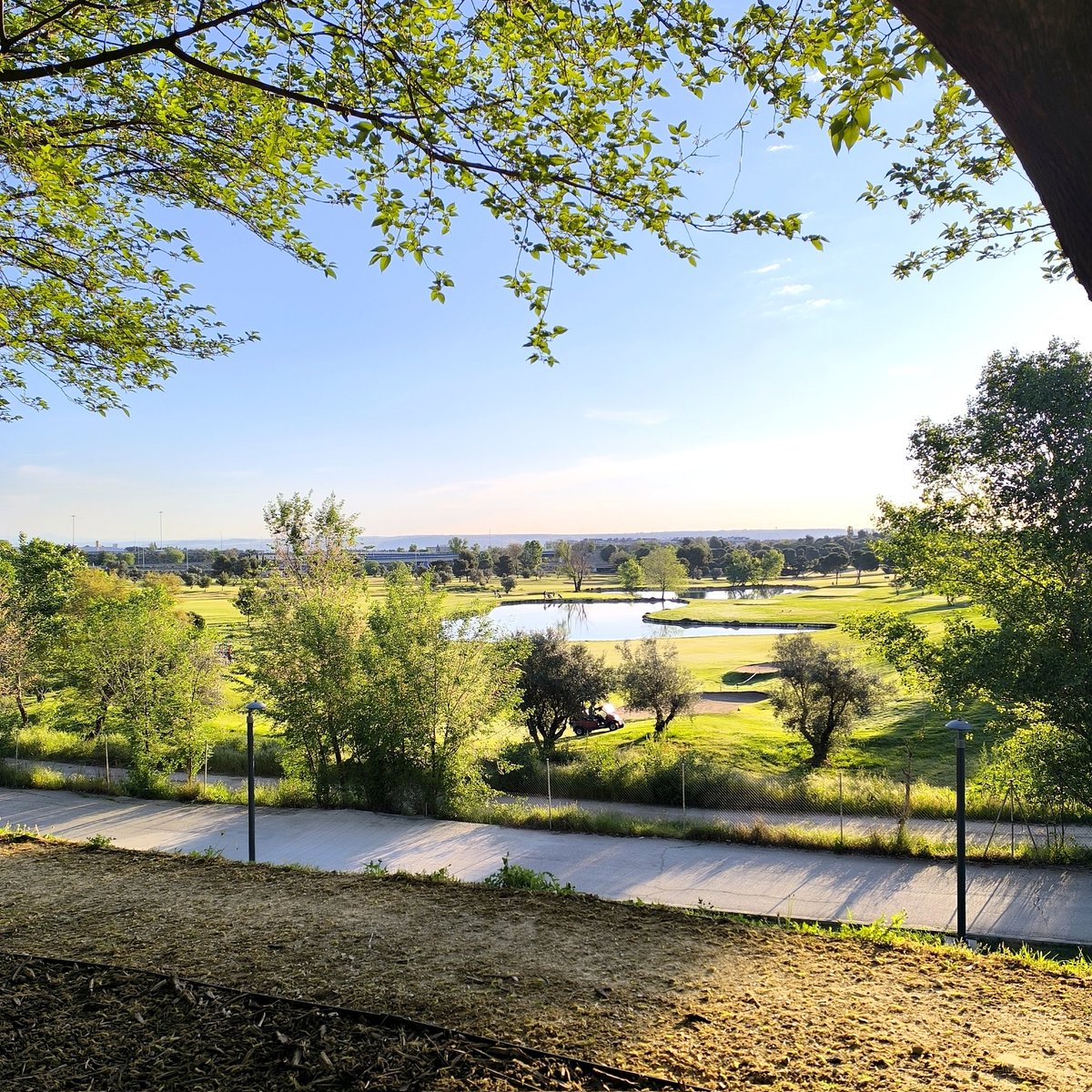 Madrid tiene estos rincones donde el ruido se apaga y solo queda  el sonido de tus pensamientos. 

Hoy visité el Parque Juan Carlos I y entre cada paso, estas vistas que te recuerdan por qué vale la pena empezar el día así 🌿

A veces no hace falta ir muy lejos… solo salir a