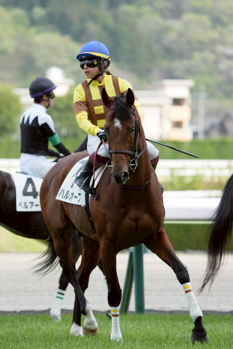 はるお tweet media