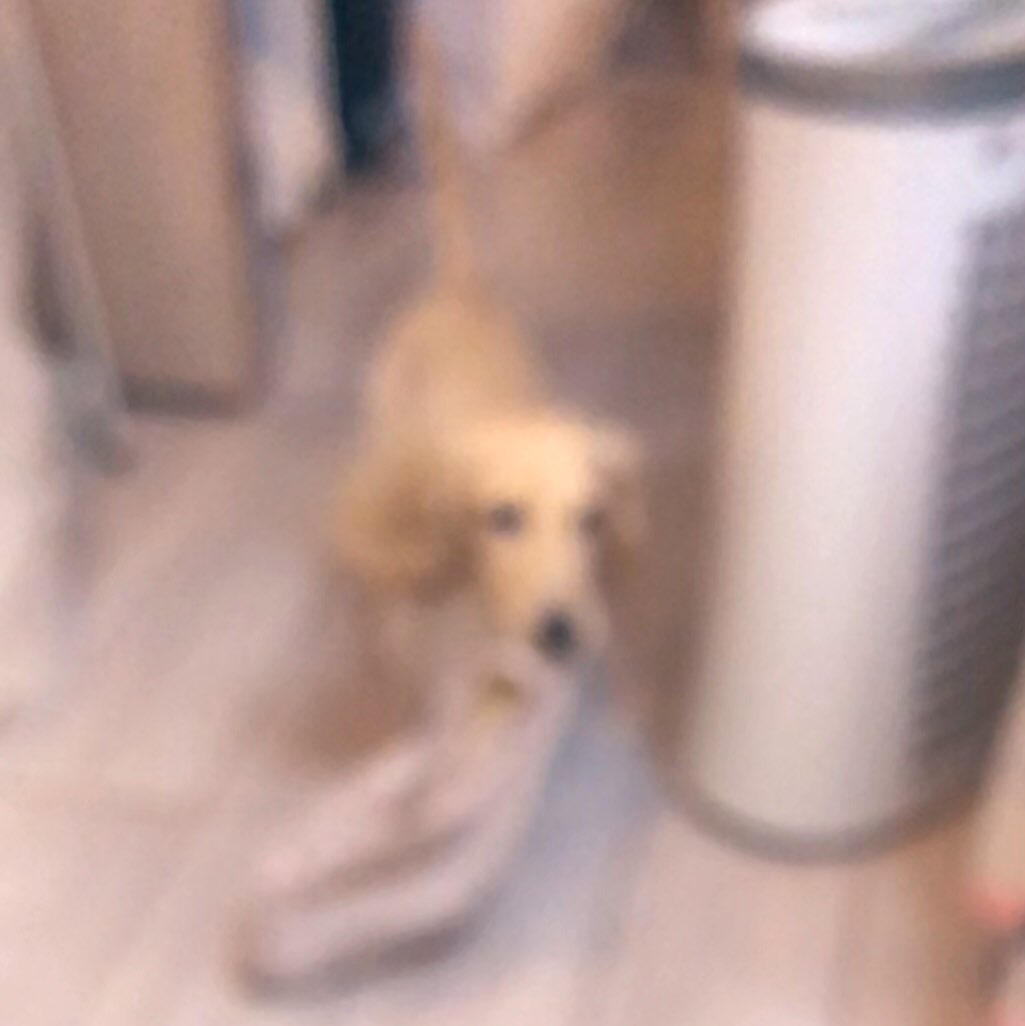 甘神すう💗 🦇 tweet media